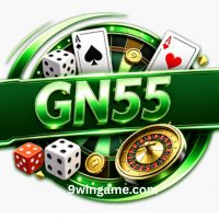 GN55 game