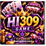 HI309 Game