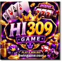 HI309 Game